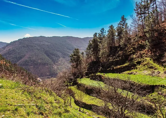 Деревянный коттедж Casa Terracos Do Lobo Мантейгас